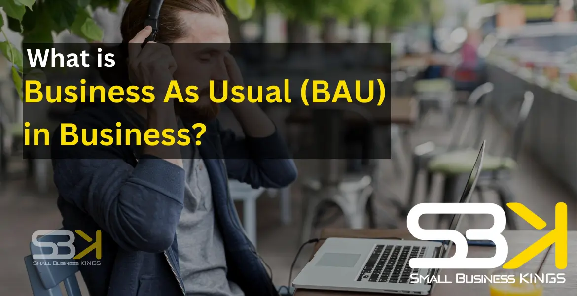 What is Business As Usual (BAU) in Business? - Small Business Kings | SBK