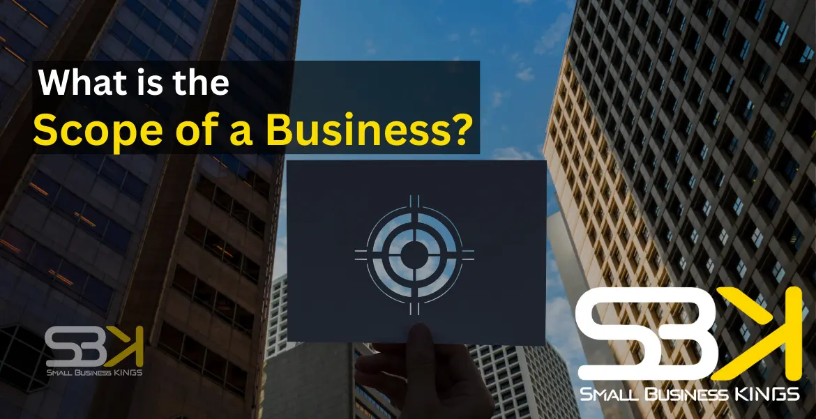 What is the Scope of a Business? Meaning, Types, & Steps - SBK