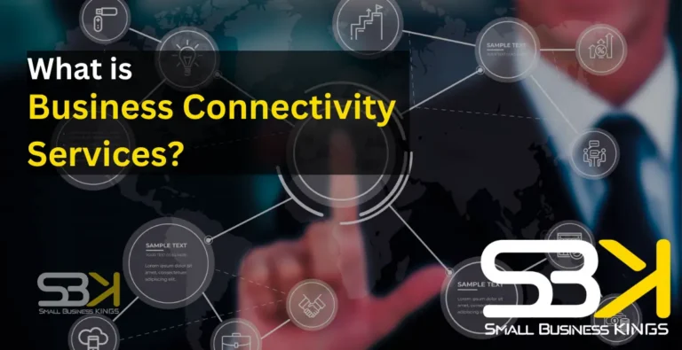 Business Connectivity Services