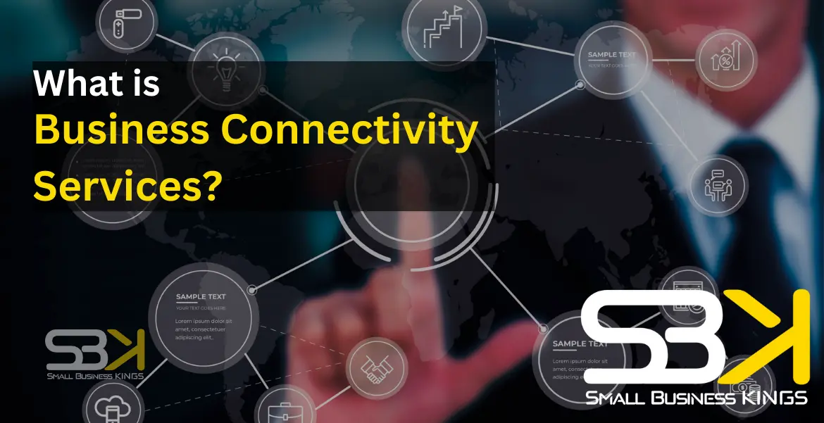 What is business connectivity services